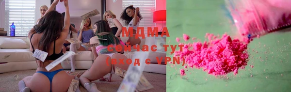 стаф Алзамай