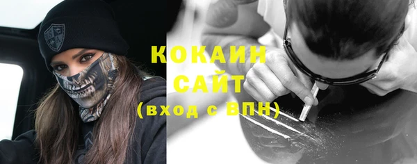 стаф Алзамай