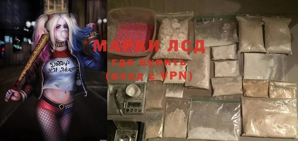 стаф Алзамай