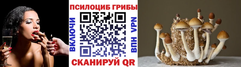 Псилоцибиновые грибы мицелий Анапа