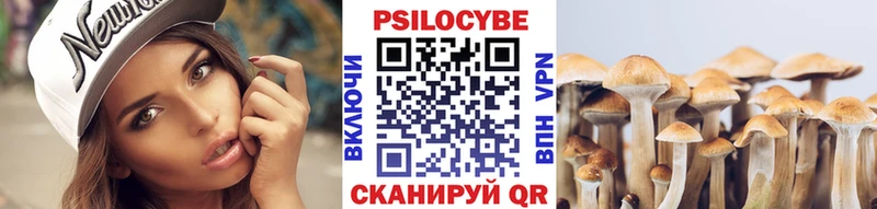 мега вход  Анапа  Псилоцибиновые грибы Magic Shrooms 